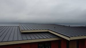 Best Rubber Roofing (EPDM, TPO)  in Whitg, IN